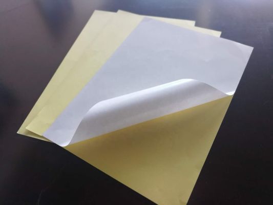 Rolo de papel autoaderente brilhante à prova de umidade para fins comerciais