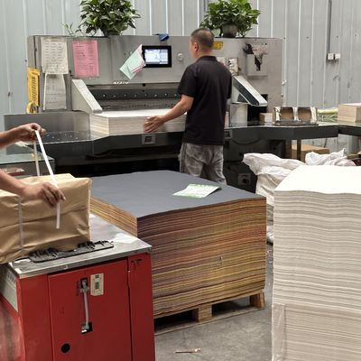 Papel de impressão de offset sem madeira com revestimento de PE