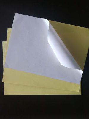 Papel adesivo de ligação a metal quente não revestido para revestimento em PE e fácil aplicação