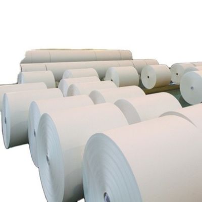 Papel A4 75 80 GSM Jumbo Roll com 45% de brilho de superfície e 88% de brilho de impressão