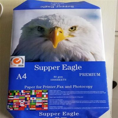 Papel A4 75 80 GSM Jumbo Roll com 45% de brilho de superfície e 88% de brilho de impressão