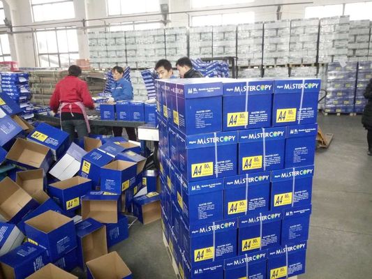 Papel A4 75 80 GSM Jumbo Roll com 45% de brilho de superfície e 88% de brilho de impressão