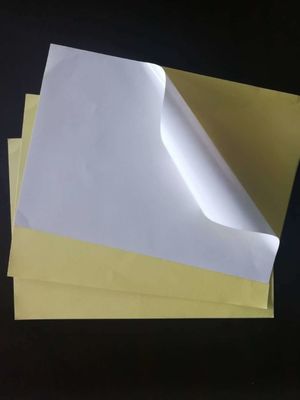 Directamente do papel autocolante personalizado da fábrica com adesivo de borracha e tamanho de folha grande
