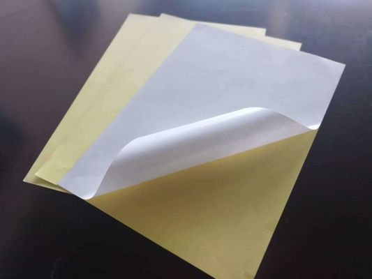 Directamente do papel autocolante personalizado da fábrica com adesivo de borracha e tamanho de folha grande