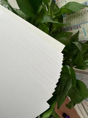 Papel de impressão personalizado 210/230/250/270/300gsm FBB/GC1/C1S de padrão