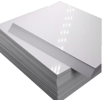 S Top Choice C2S Matte Art Card Paper Roll Coated em ambos os lados para um acabamento superior