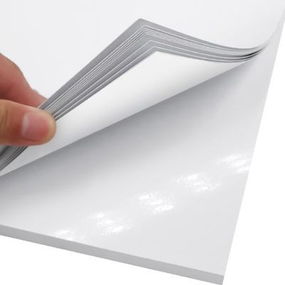 S Top Choice C2S Matte Art Card Paper Roll Coated em ambos os lados para um acabamento superior