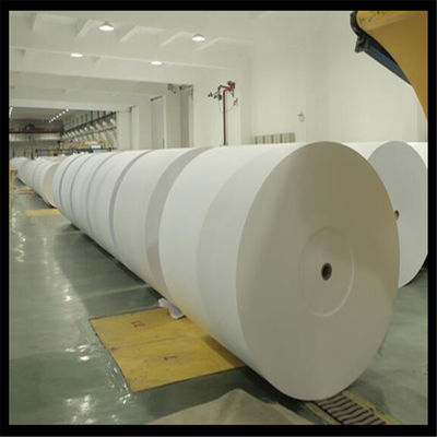 Papel de cópia anti-enrolamento Jumbo Roll para corte A4 feito de pasta de madeira