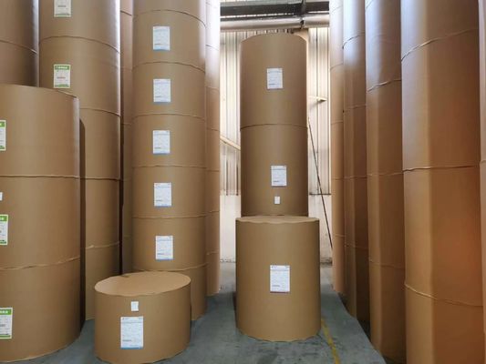 Impressão offset compatível Ningbo Fold Paper Board C1S Coated 190-400gsm FBB Ivory Board