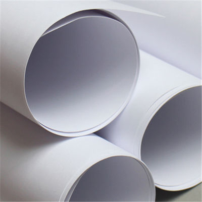 Papel de cópia de 80 gramas Jumbo Roll para impressão sob encomenda feita de celulose virgem