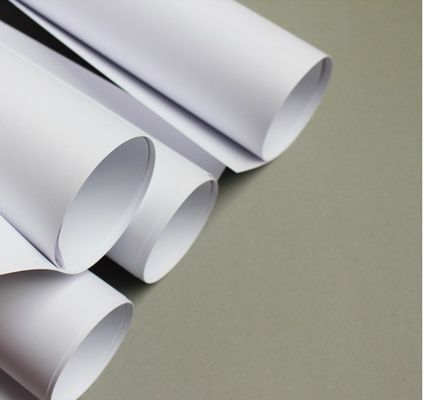 Papel de cópia de 80 gramas Jumbo Roll para impressão sob encomenda feita de celulose virgem