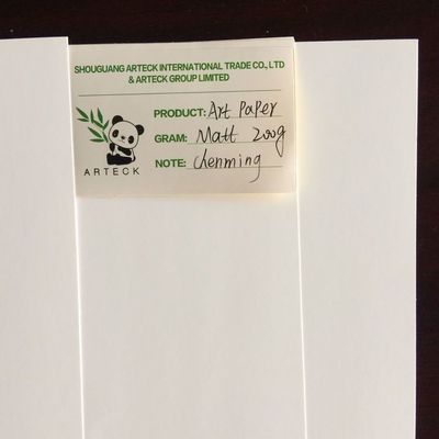 C2S 90 gm 300 gm Papel de arte revestido por dois lados Jumbo brilhante e rolos para impressão