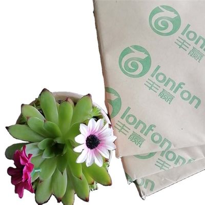55G-120G Papel de Ficha para Impressão Offest dentro de Anti-Curl de LONFON/chenming /APP