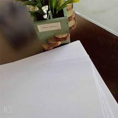 55G-120G Papel de Ficha para Impressão Offest dentro de Anti-Curl de LONFON/chenming /APP