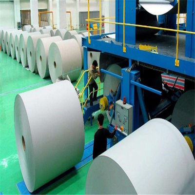 Papel de arte Nevia A solução definitiva de serviço de impressão