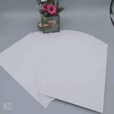 Zenith High Bulk C1S Coated Ningbo Fold FBB Ivory Board Ideal para papel de embrulho de presentes