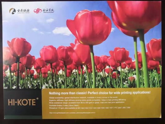 65-133gm Papel Bond Hi-Kote C2S Gloss/Art Coated Paper da APP