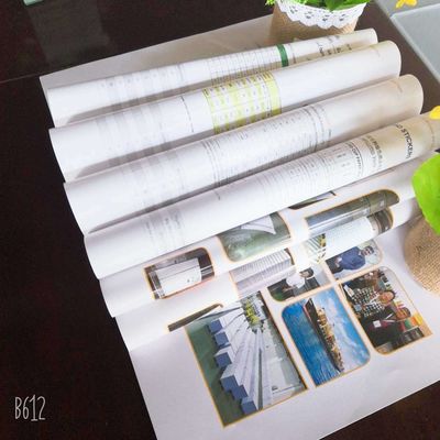 Papel de arte revestido de lado duplo de 80 gm-250 gm em embalagem em rolos