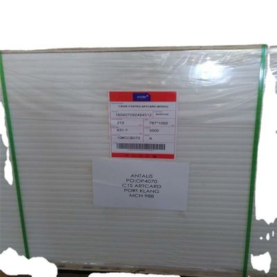Impressão offset Papel de ficha compatível para impressão de FBB/Ivory Board/Duplex Board