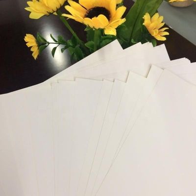Papelão de caixa de marfim em folha com 100% de pasta de madeira 230/250/300GSM