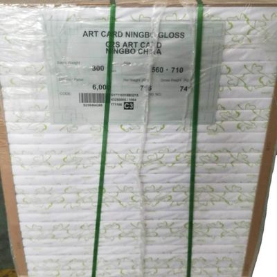 Folha de Madeira FBB de Ivory Board de Ningbo Fold aceita encomenda personalizada e é personalizável