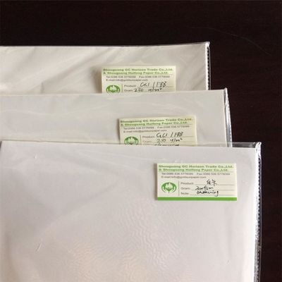 Pulpa de madeira Ningbo Fold FBB/Cartão de Marfim O material de embalagem e impressão perfeito